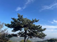 -香山公园