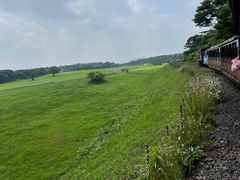 -济州森林小火车生态公园