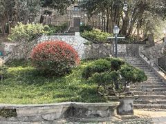 -紫金山天文台