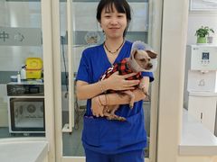 -全心全意动物诊疗中心医院(北苑店)