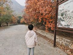 -北京鹫峰国家森林公园