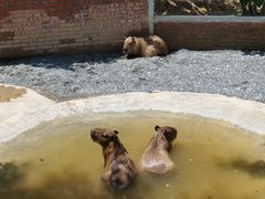 -长廊欢乐园