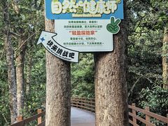 -野象谷景区