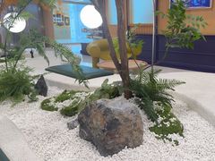 -帕帕拉兹宠物(亚洲旗舰店)