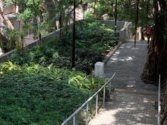 -香港佐治五世纪念公园