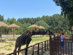 -北京野生动物园