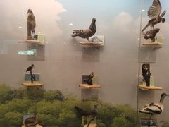 -下渚湖国家湿地公园科普馆