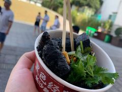 -黑色经典臭豆腐·湖南特产(坡子街店)