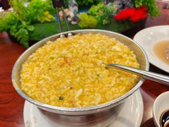 -丁老爷子苏香圆