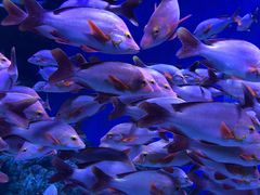 -成都浩海立方海洋公园