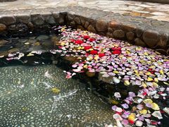 -厦门日月谷温泉渡假村