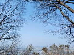 -紫金山山顶公园