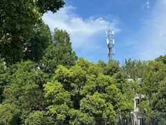 -J Create城市露营咖啡·简餐·宠物(上海动物园店)