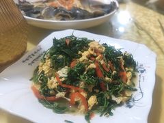 -煲来饱去冷水鱼