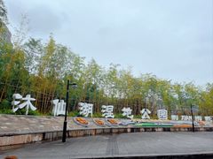 -沐仙湖湿地公园