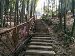-宁波浙东大竹海景区
