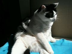 android_upload_pic-Anne猫窝咖啡屋