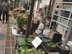 -秦美花卉(天朗·莱茵小城2期店)