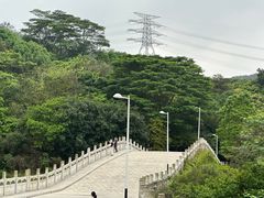 -水濂山森林公园