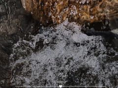 -四川省成都市彭州市白鹿镇