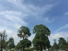 -辛亥革命纪念馆