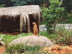 -云南野生动物园