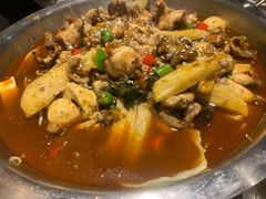 -龙巢盱眙龙虾·牛蛙·烧烤宵夜(八卦岭店)