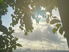 -深圳湾公园(南山区)