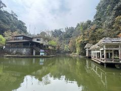 -云南屏边大围山国家公园
