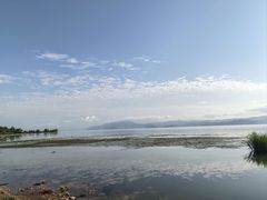 -洱海月湿地公园