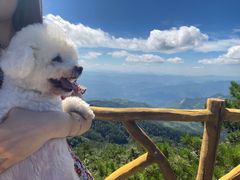 -罗田薄刀峰风景区