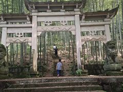 -午潮山国家森林公园