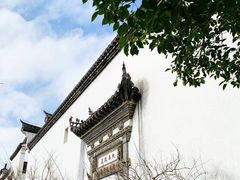 -广富林郊野公园