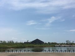 -盐城丹顶鹤湿地生态旅游区