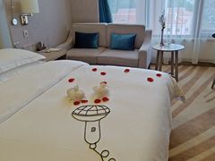 -圣爵菲斯大酒店(长沙世界之窗店)