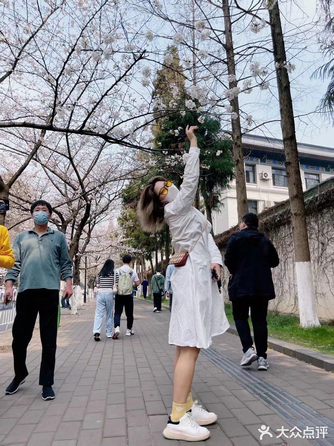 主要想去鸡鸣寺看樱花，没想到却被这家……