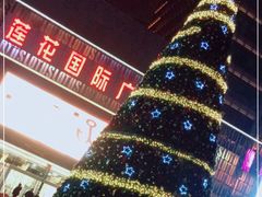 -莲花国际广场