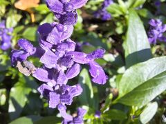 -国家植物园南园