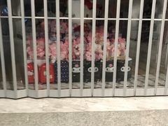 -广州白云国际机场-T2航站楼