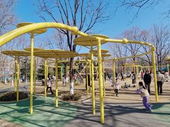 -张店儿童公园