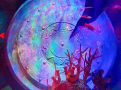 -沈阳海洋探索中心