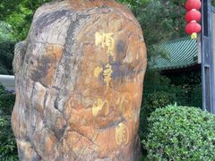 -顺峰山公园