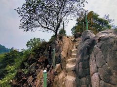 -南山植物园