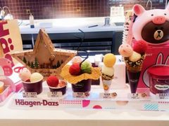 -哈根达斯(石家庄北国店)
