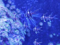 -成都浩海立方海洋公园