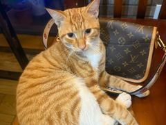 -小丫头餐厅·江浙菜·烧烤(灵隐店)