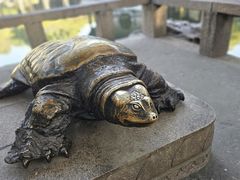-西园戒幢律寺