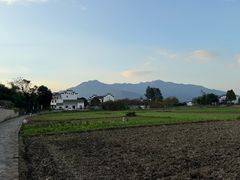 -黄牛肉馆·皖南土菜