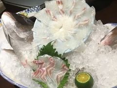 -海鸥岛河景湖大排档