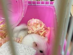 -龙猫仔乐园(惠福东路店)